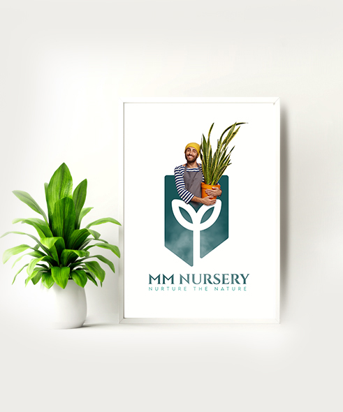 House plant with a pot and logo of best online plant seller mmnursery. Best online fruit plant  nursery in Thrissur , Kerala.